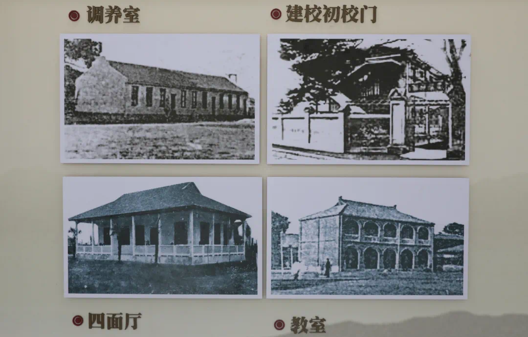 情系家乡教育∣龙腾国际向震泽中学捐赠1000万元