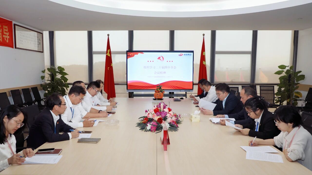 龙腾国际召开党委集体学习会议 深入学习贯彻党的二十届四中全会精神